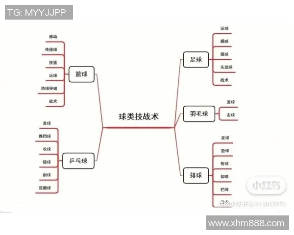 北京排球队快攻战术解析与深度剖析排球竞技的魅力与挑战 北京排球队快攻战术解析与深度剖析排球竞技的魅力与挑战