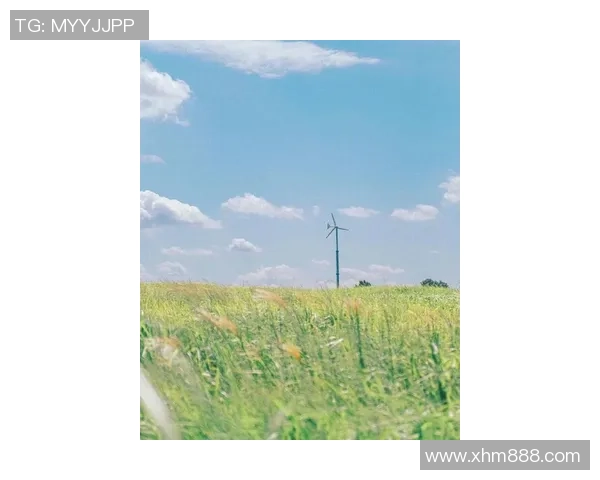 张秀英的英雄联盟人生：从新手到职业选手的深度对话与成长之路