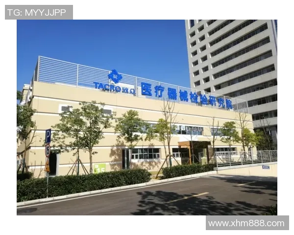 武汉飞盘队运营创新探索:重塑团队发展新模式与未来愿景