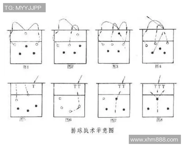 北京排球队整体压制战术解析与实战应用研究